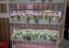 House vertical farming solution.